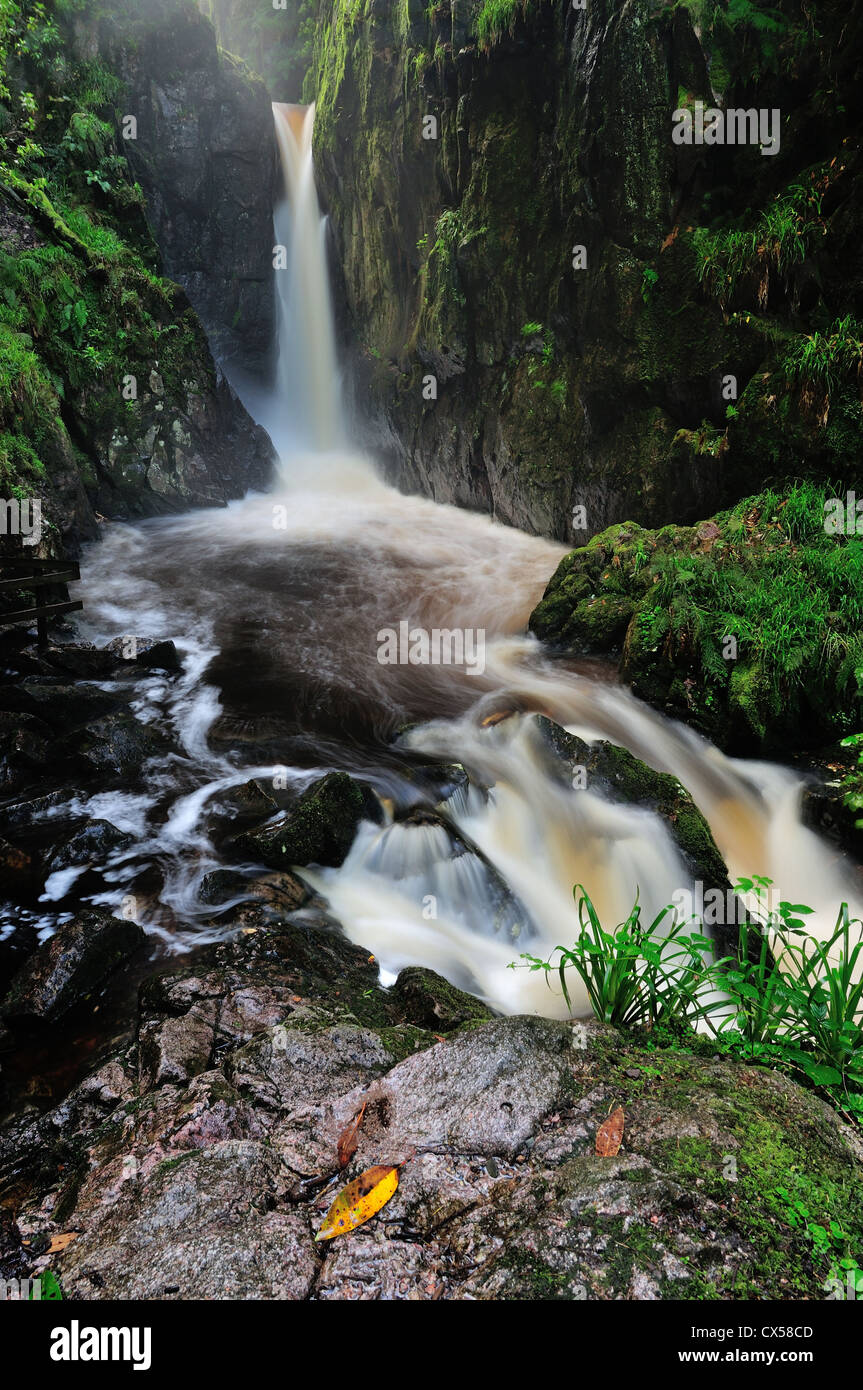 Der 60 Fuß drop von Stanley Ghyll Force Wasserfall Eskdale im englischen Lake District Stockfoto