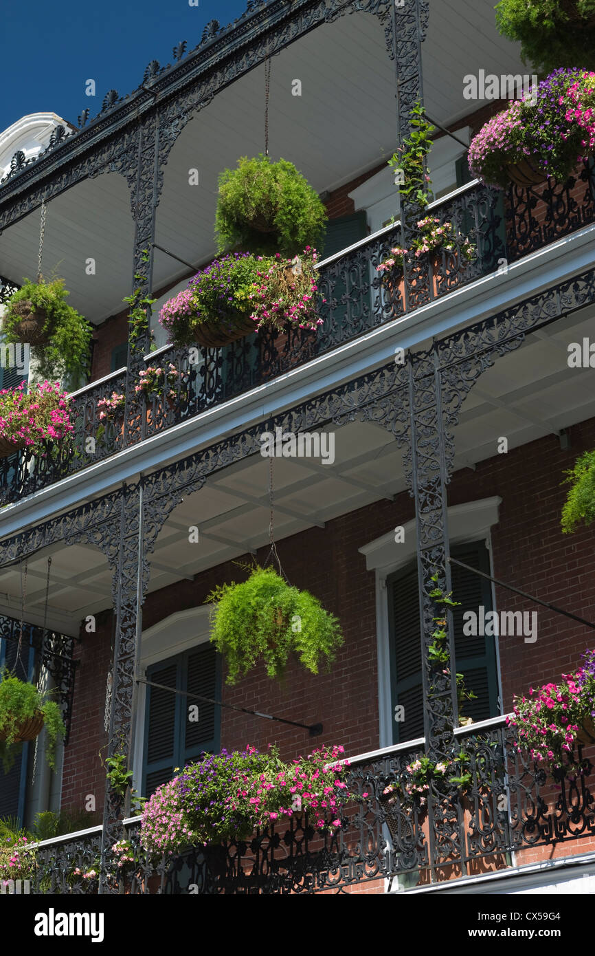 GUSSEISERNE GELÄNDER UND HÄNGENDE BLUMENTÖPFE AUF BALKON ROYAL STREET FRANZÖSISCHE VIERTEL DOWNTOWN NEW ORLEANS LOUISIANA USA Stockfoto