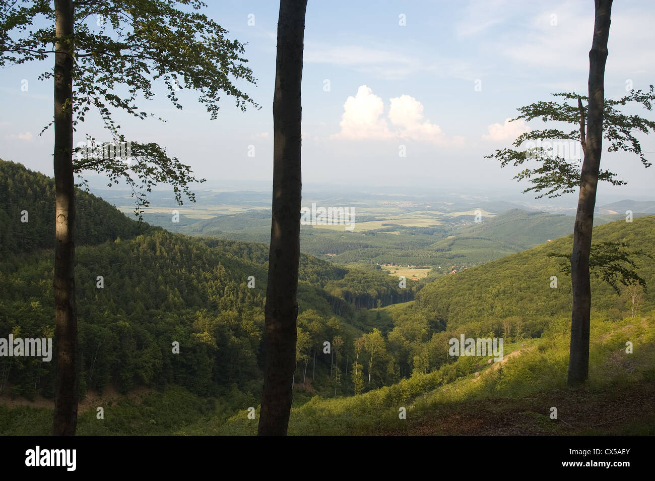 Elk190-2893 Ungarn, Eger, Landschaft in der Stadt, bewaldete Hügel Stockfoto
