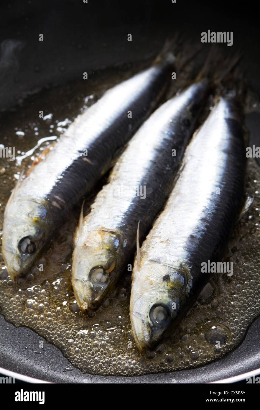 Sardine fish Fotos und Bildmaterial in hoher Auflösung Alamy
