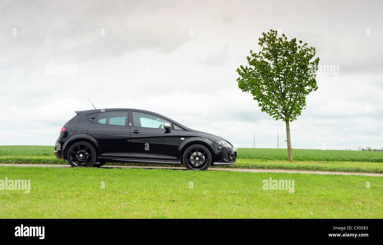 Sitz Leon FR+ Supercopa Auto auf Baum gesäumten Auffahrt Stockfoto