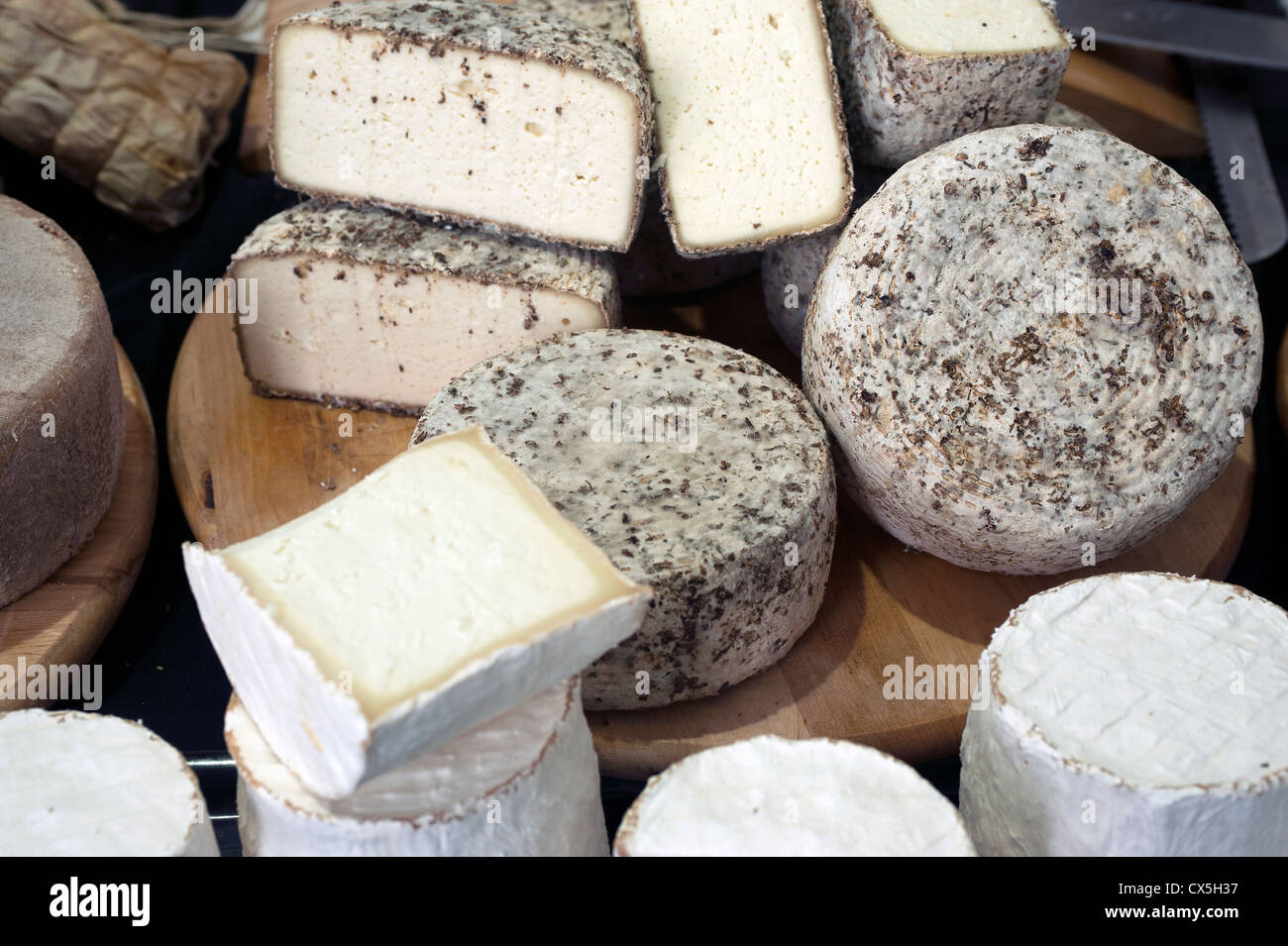 Italienische Käse auf dem Display in einen Lebensmittelmarkt. Rom, Italien Stockfoto