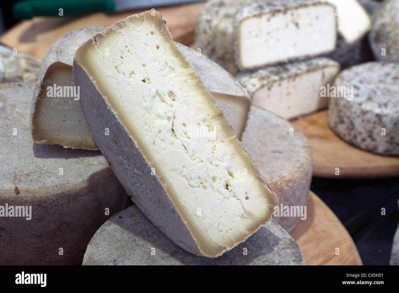 Italienische Käse auf dem Display in einen Lebensmittelmarkt. Rom, Italien Stockfoto