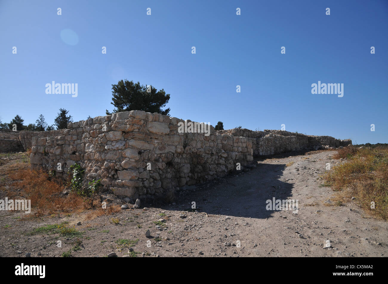 In der Nähe von Zichron Yaacov, Israel, Ramat Hanadiv. Landwirtschaftliche Siedlung Stockfoto