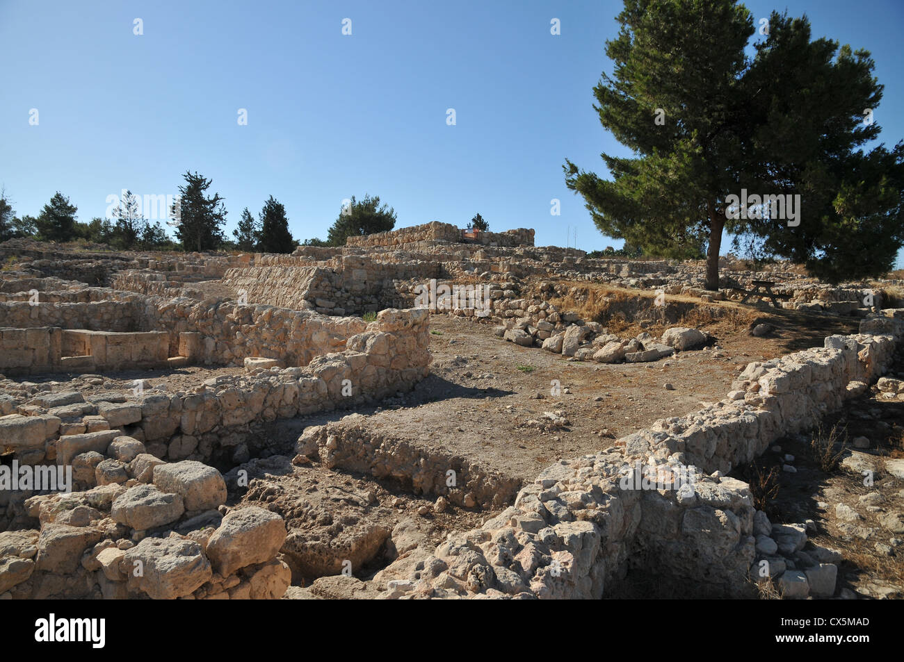 In der Nähe von Zichron Yaacov, Israel, Ramat Hanadiv. Landwirtschaftliche Siedlung Stockfoto