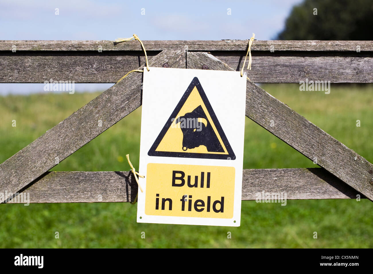 Elefant im Feld Warnung Schild an einem Holztor. Stockfoto