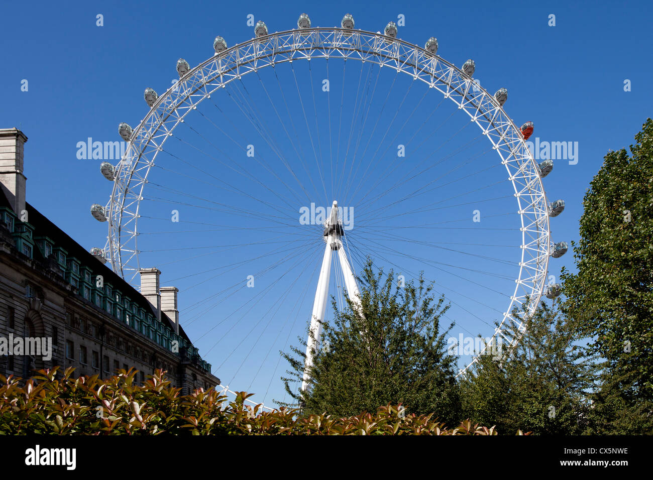 Das London Eye Stockfoto