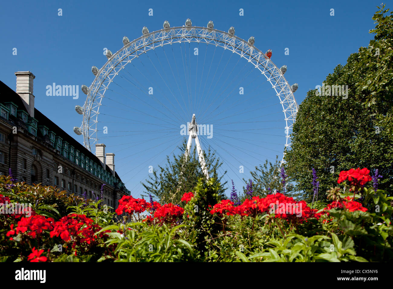Das London Eye Stockfoto