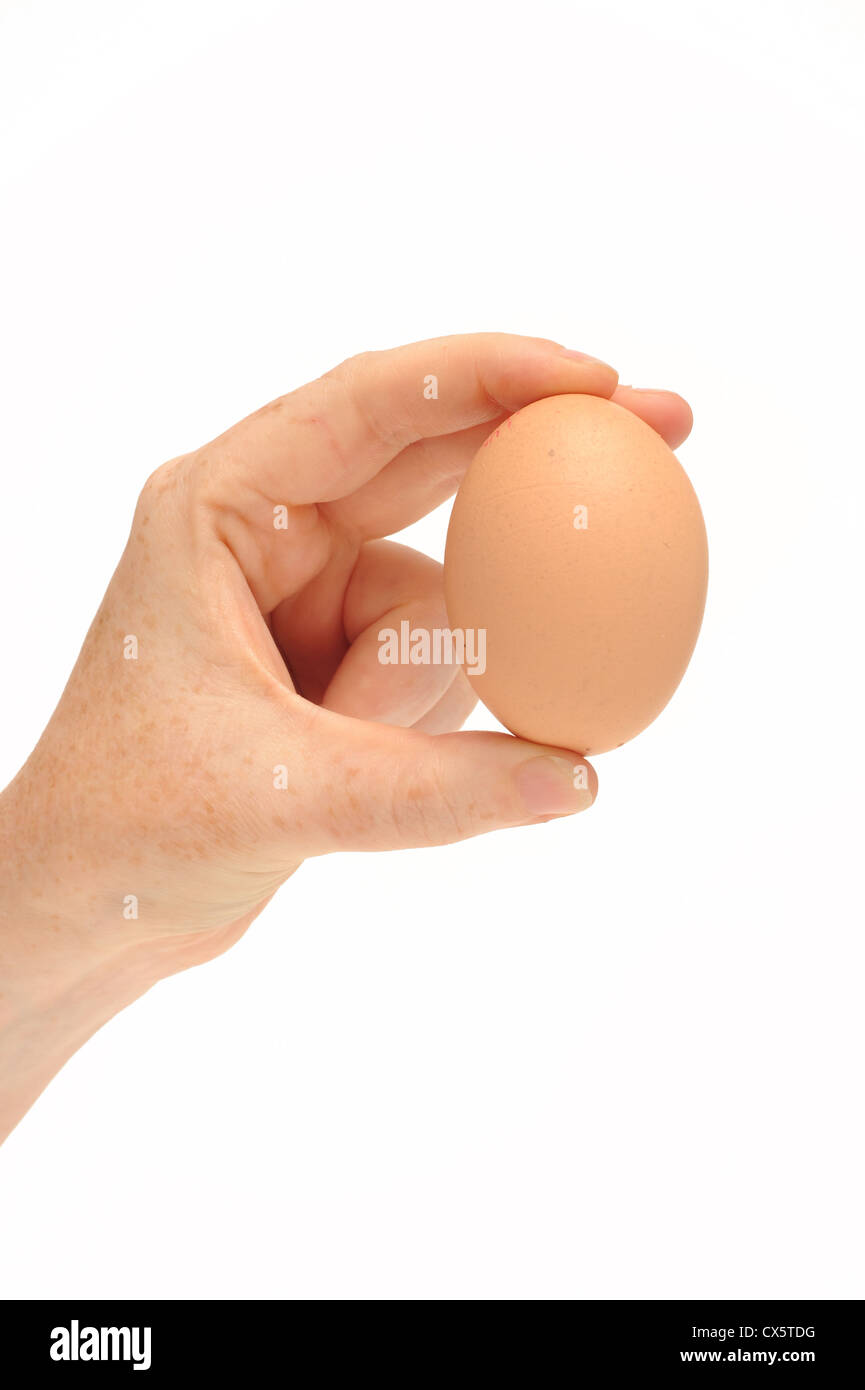 Hand, die ein Ei Stockfoto