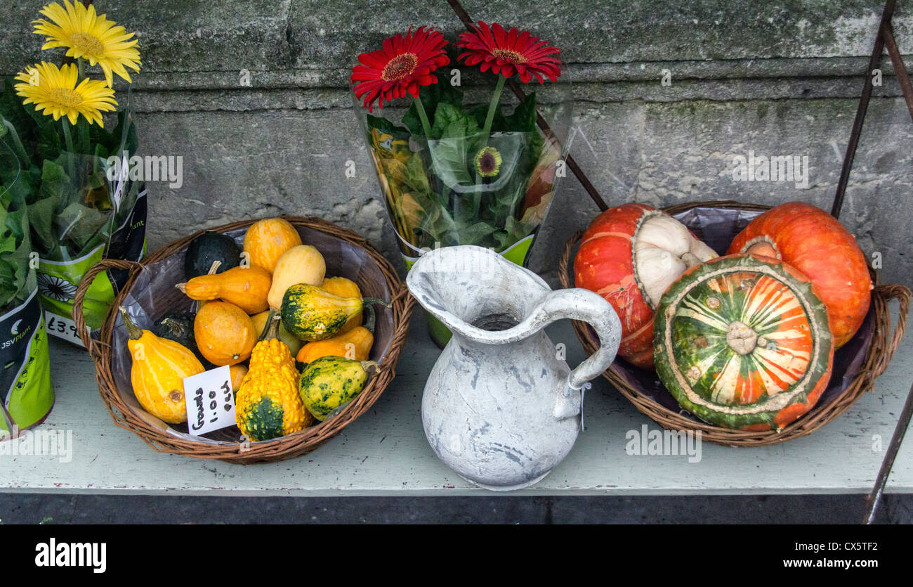 Fenster von Blumen und Kürbisse bei einem Floristen auf der Pulteney Bridge - Stadt Bath, Somerset Stockfoto