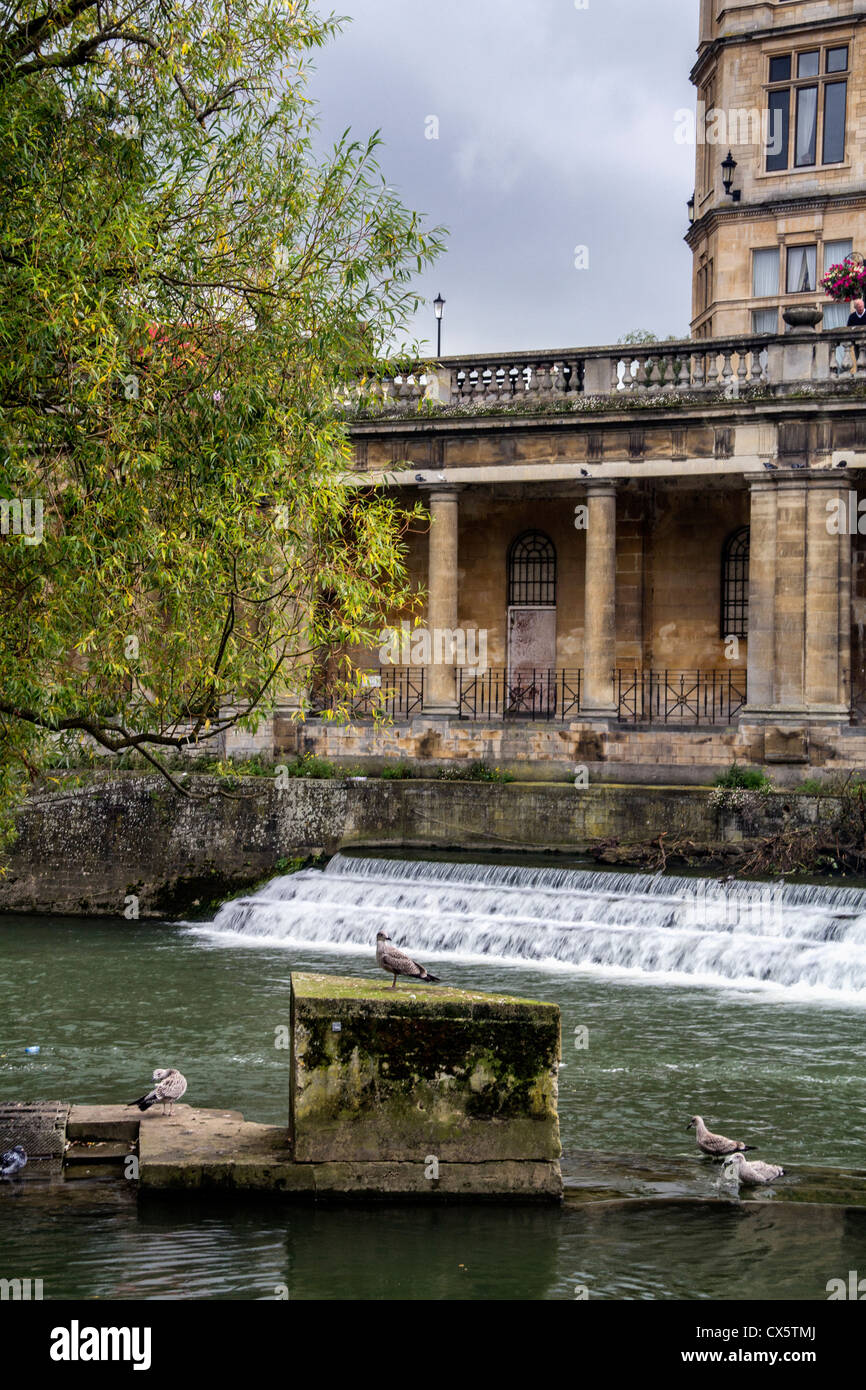 Fluss Avon und Wehr - Stadt Bath, Somerset Stockfoto