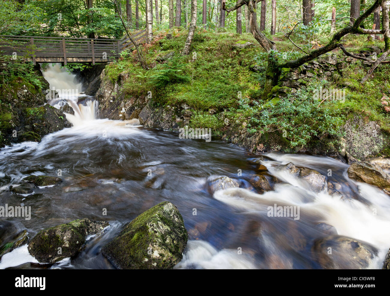 Das schnell fließende Wasser von Launchy Gill Fallenlassen in Thirlmere, Lake District, Cumbria Stockfoto