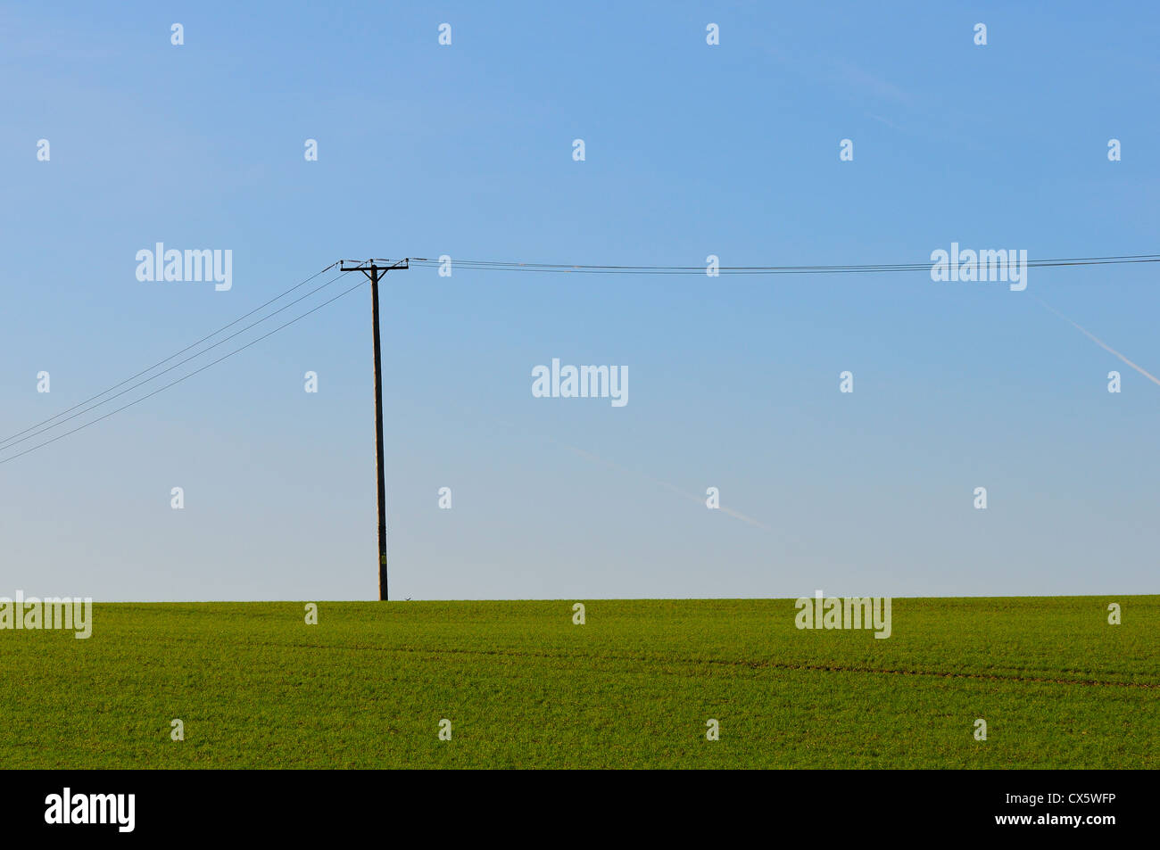 Einen Telegrafenmast und Drähte in einem Feld, UK Stockfoto