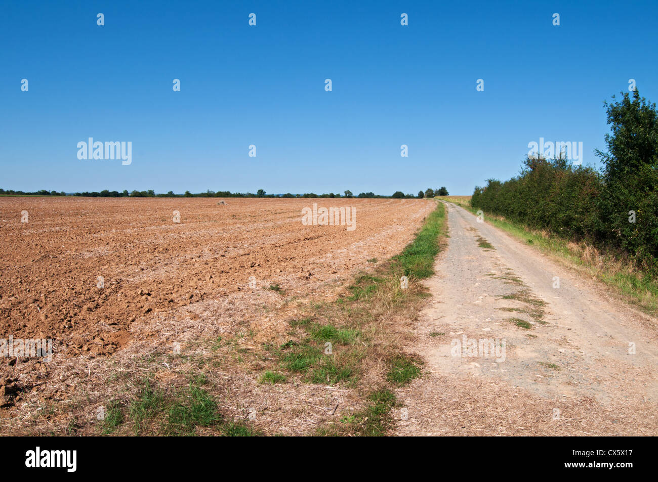Landstraße in den französischen Vendée Latiums, Pays De La Loire, Frankreich. Stockfoto