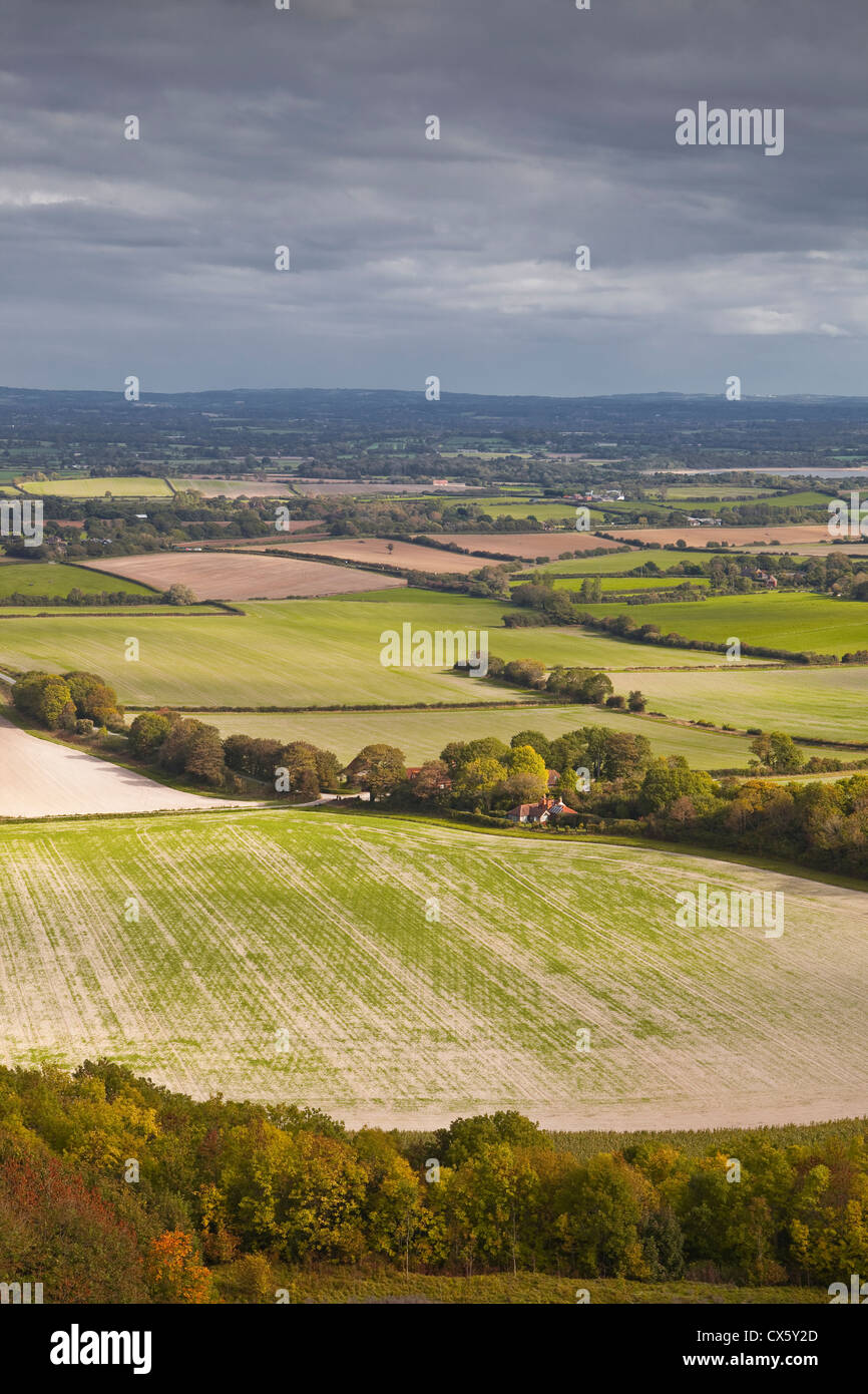Die hügelige Felder der South Downs im Süden Englands. Stockfoto
