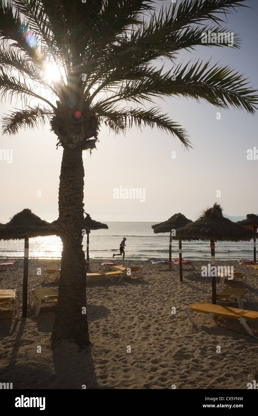 Ein einsamer Läufer auf einen leeren Strand, Palmen auf der Insel Mallorca. Stockfoto