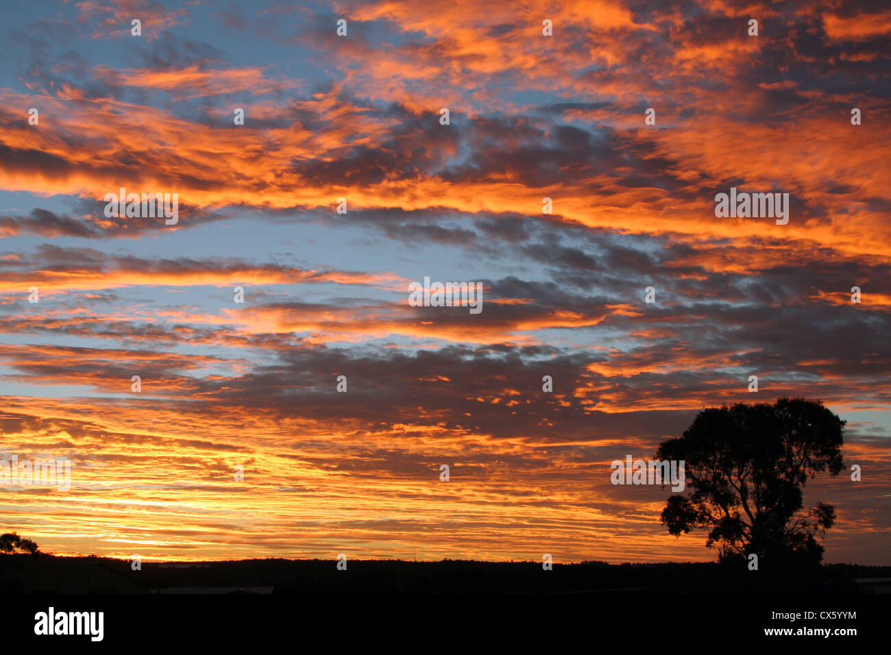 Sonnenuntergang über Stanthorpe. Queensland, Australien Stockfoto