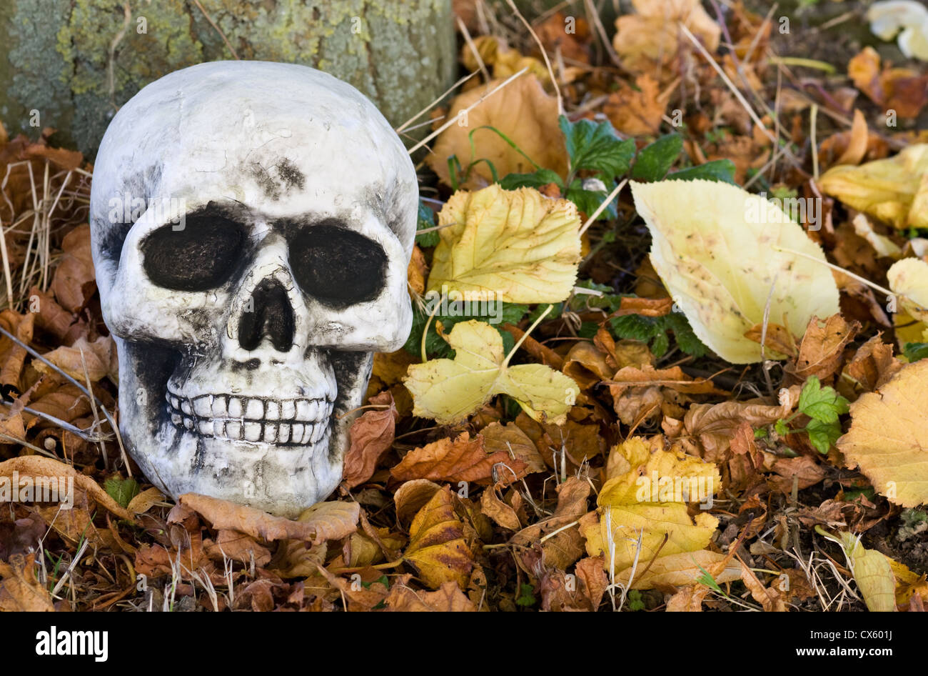 Feiern Halloween mit unheimlich menschlichen Schädel. Mit Platz für Ihren Text. Stockfoto