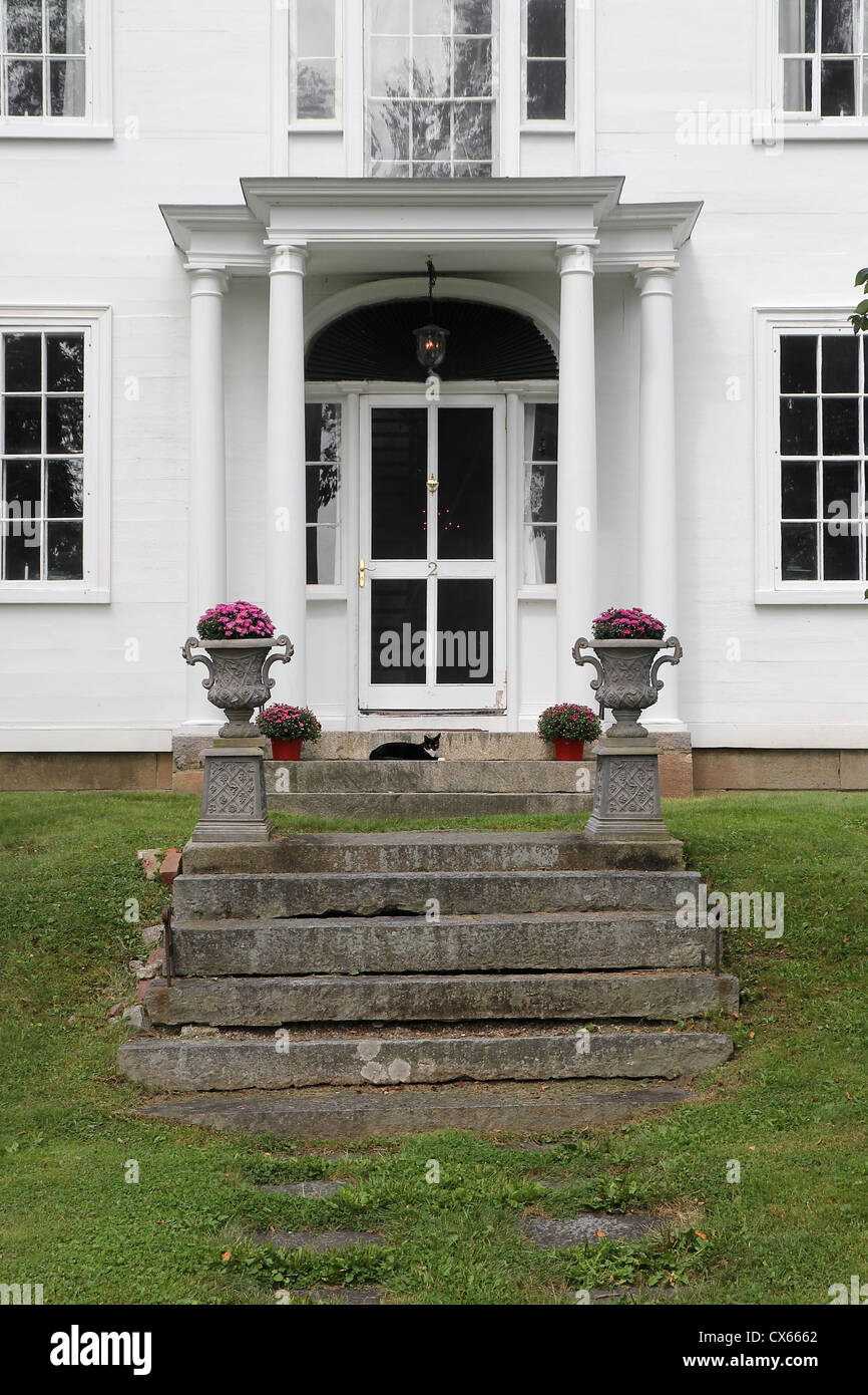 Eine Katze sitzt auf den Stufen eines Hauses in Wiscasset, Maine Stockfoto