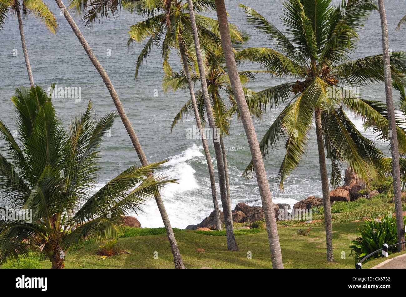Blick auf das Arabische Meer aus Kerala, Indien Stockfoto