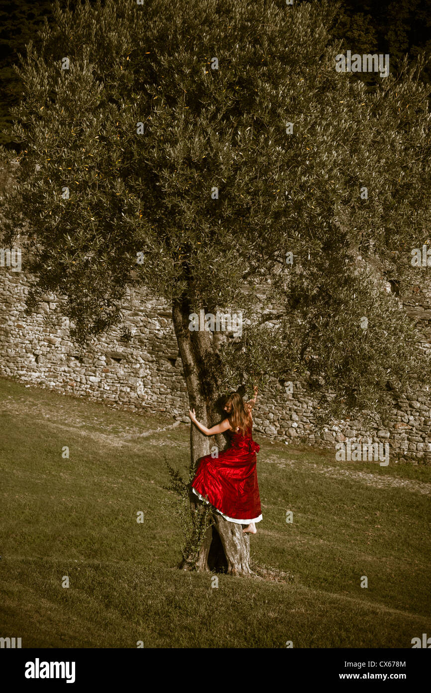 eine Frau in einem roten Kleid ist Klettern auf einem Olivenbaum Stockfoto