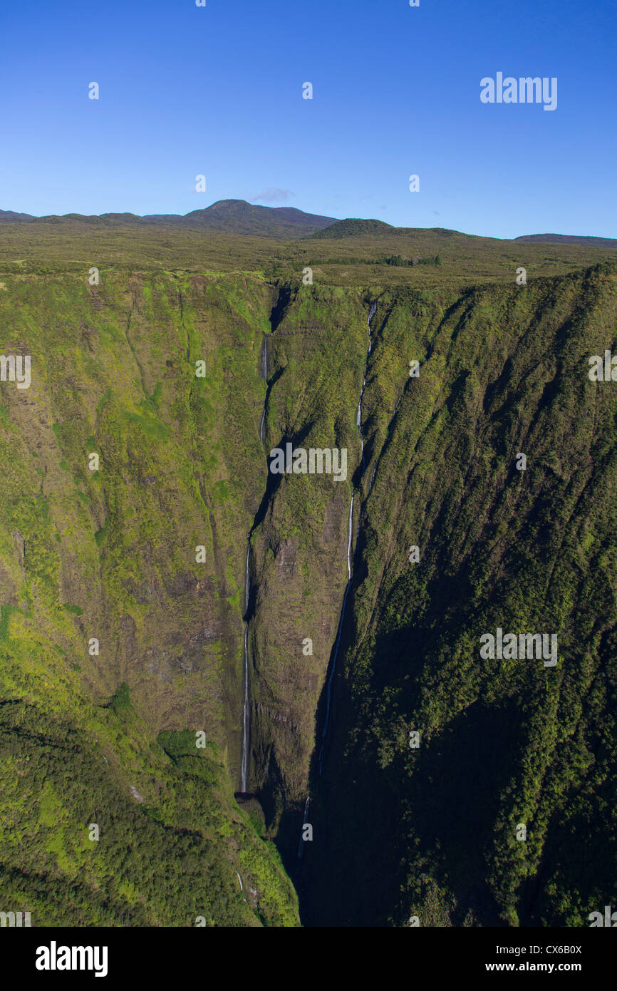 Quellgebiet, Waimanu Valley, North Kohala, Big Island von Hawaii Stockfoto