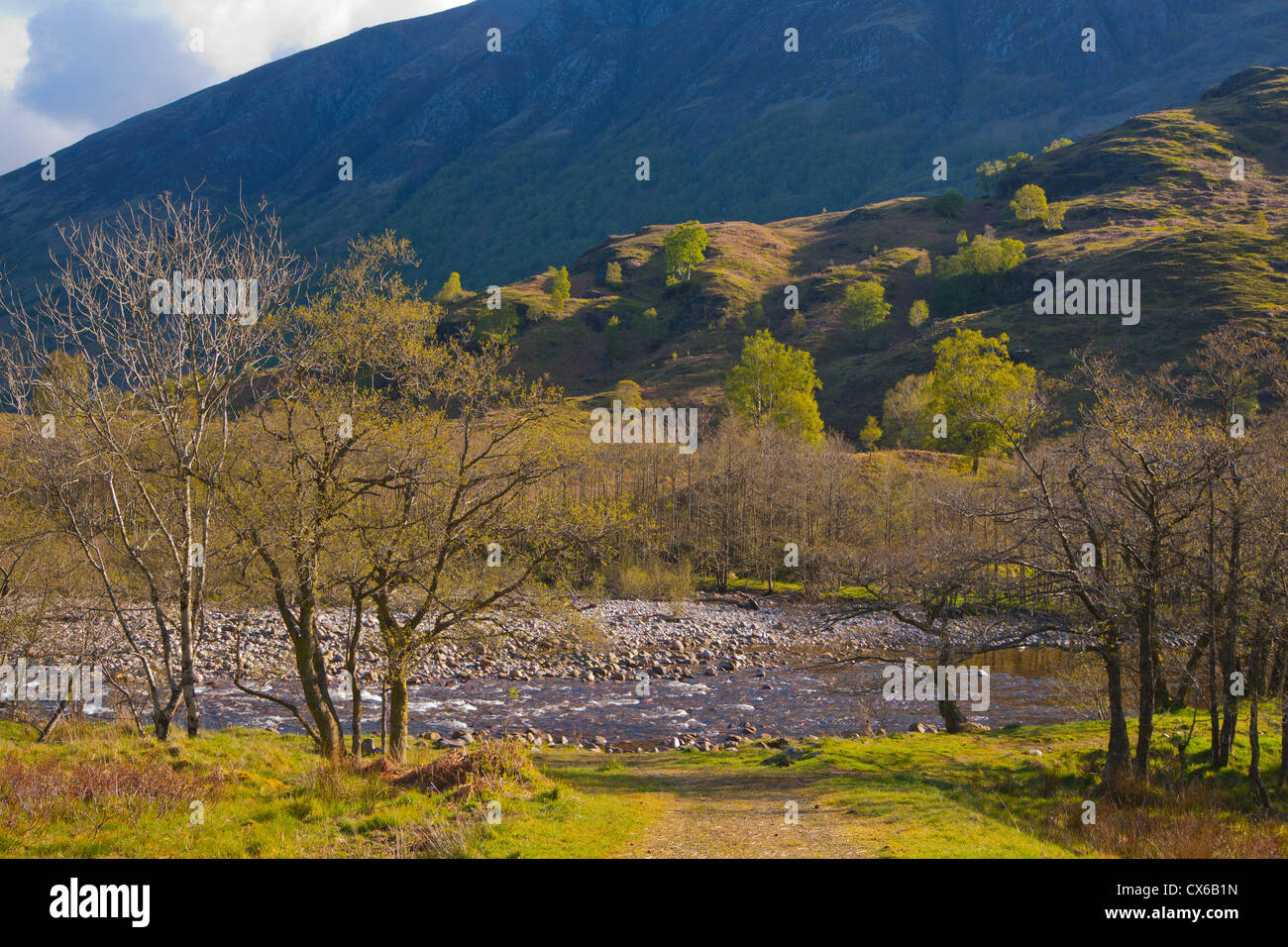 Glen Nevis, River Nevis, Ben Nevis, Frühling, Highland Region, Schottland Stockfoto