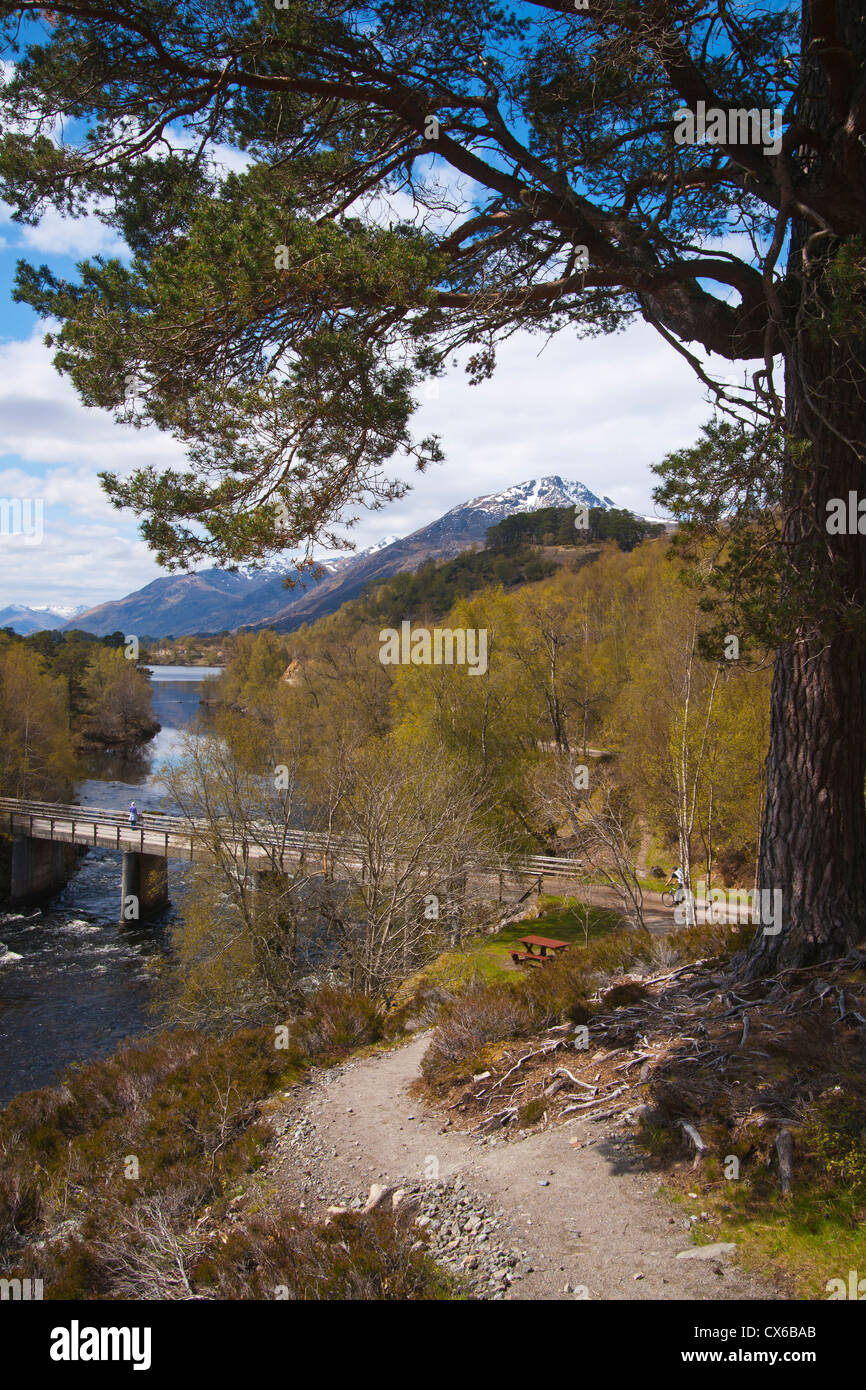 Glen Affric, Fluss Affric, Frühling, Inverness, Highland Region, Schottland Stockfoto