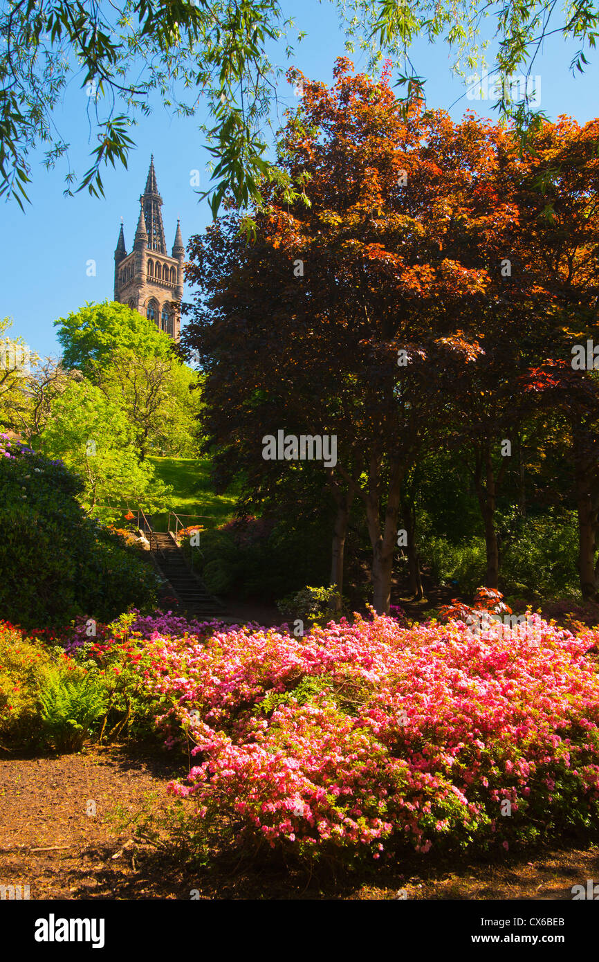 Kelvingrove Park, Glasgow, Frühlingsfarben, sonnig; Strathclyde Region; Schottland Stockfoto
