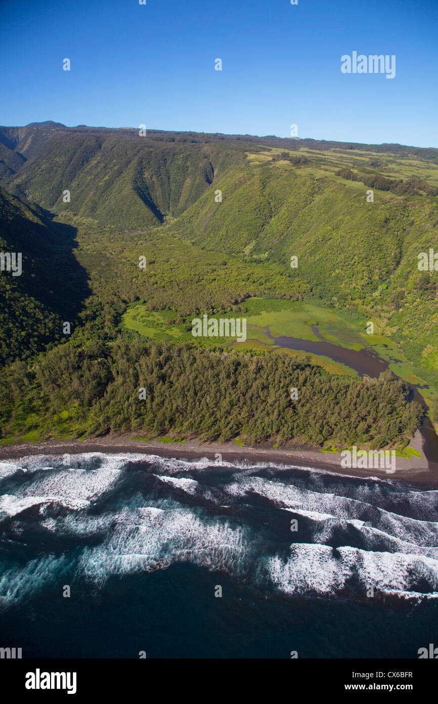 Waipio Valley, North Kohala, Big Island von Hawaii Stockfoto