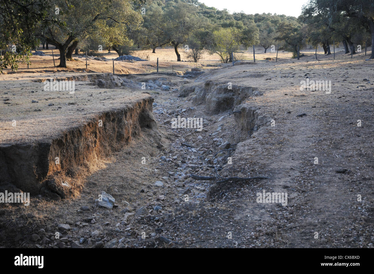 Ausgetrocknetes Flussbett. Stockfoto