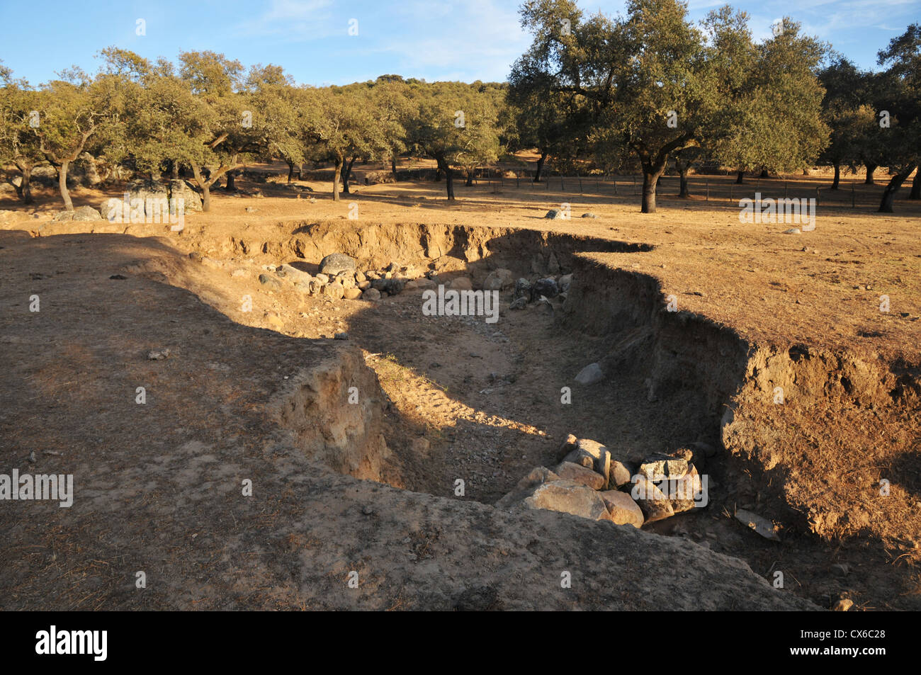 Ausgetrocknetes Flussbett. Stockfoto