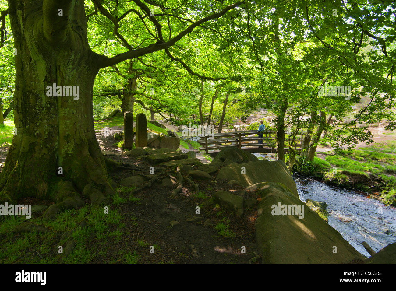 LONGSHAW Estate, Burbage Brook, Peak District, England, UK Stockfoto