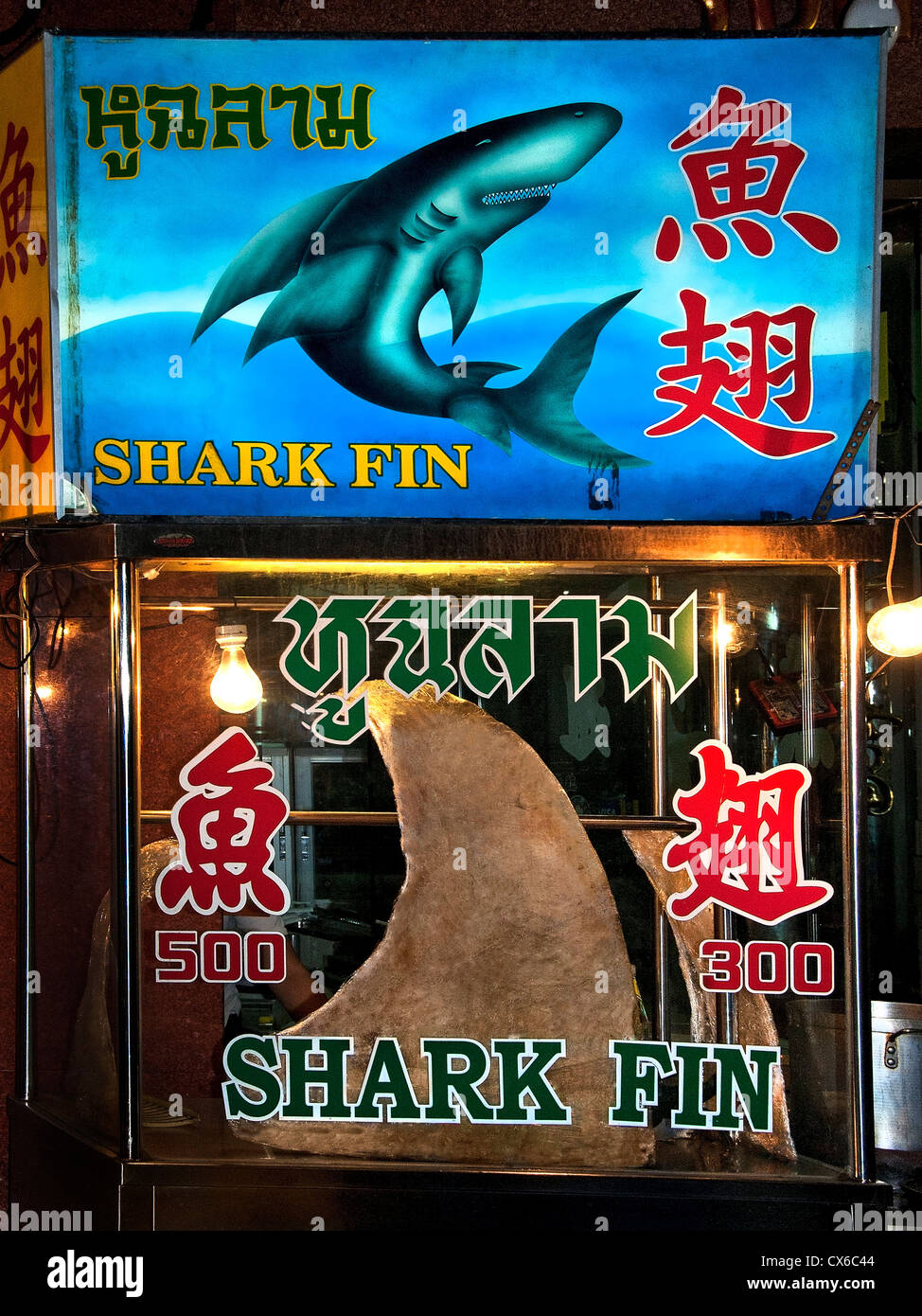 Bangkok Thailand Chinatown Chinese Fisch Restaurant Haifischflossen-Suppe Stockfoto