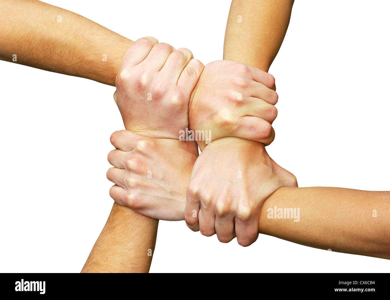 Verknüpfte Hände auf einem weißen Hintergrund als Symbol für Zusammenarbeit und Freundschaft Stockfoto