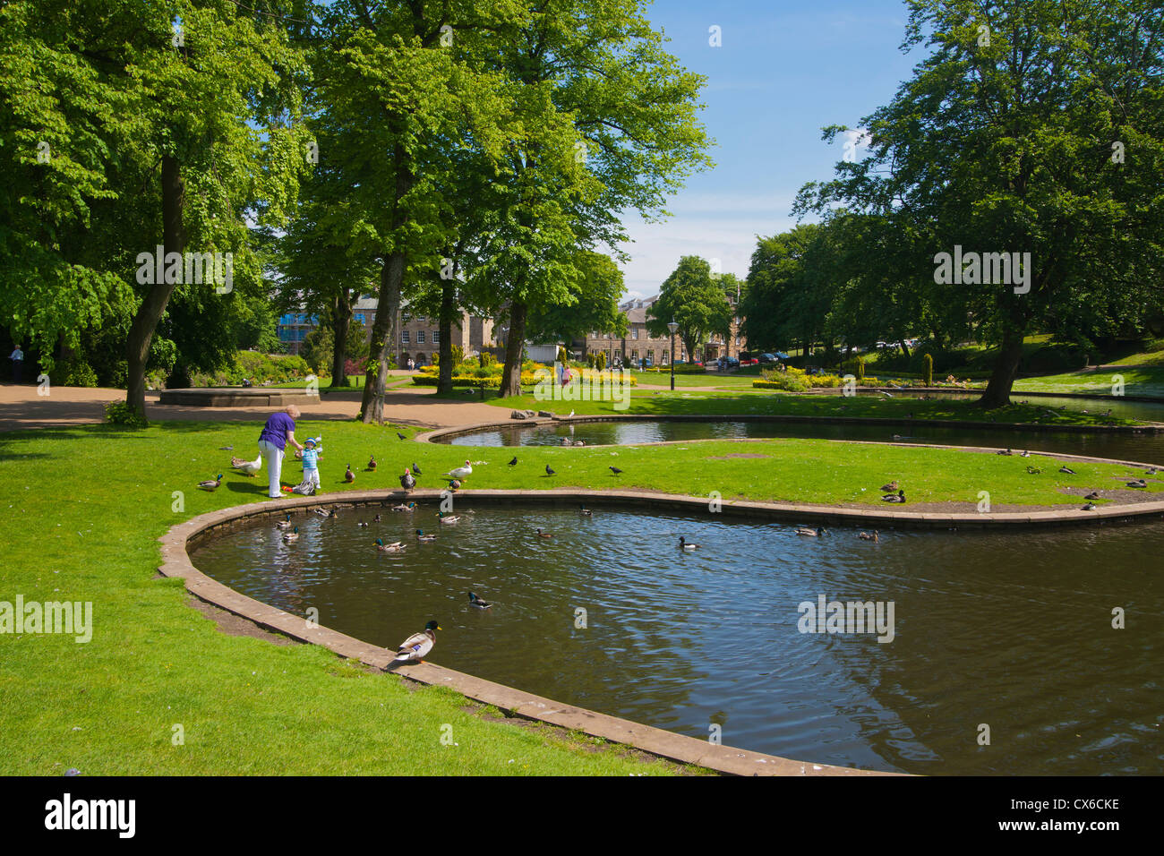 Buxton Pavillion Garten, Derbyshire, Peak District, England, UK Stockfoto