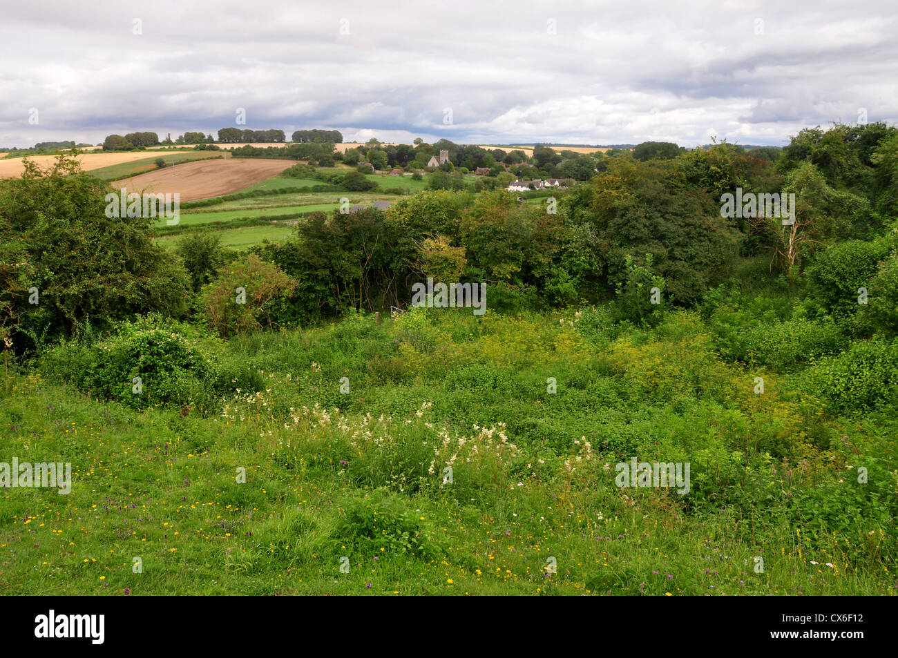 Sovell unten DWT Naturreservat in der Nähe von Gussage Allerheiligen, Dorset, Großbritannien Stockfoto