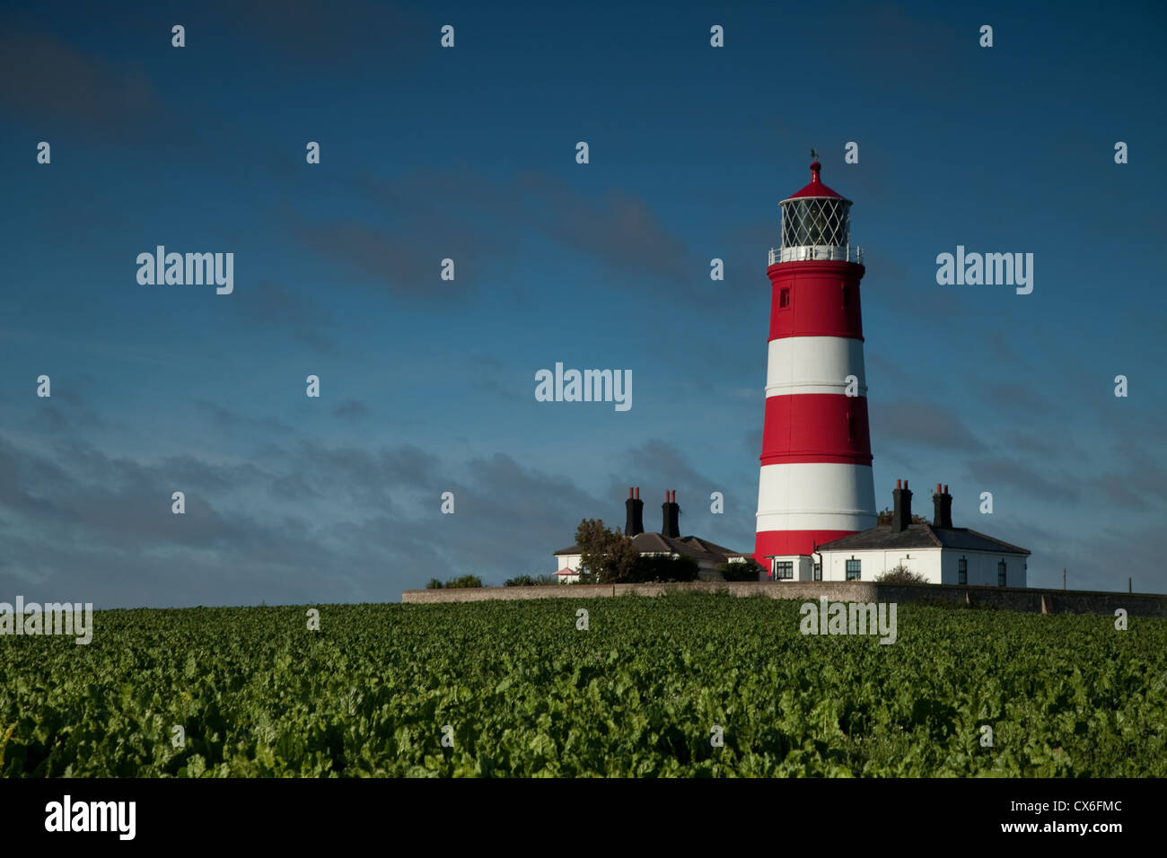 Happisburgh Leuchtturm im frühen Morgenlicht Sommer Stockfoto