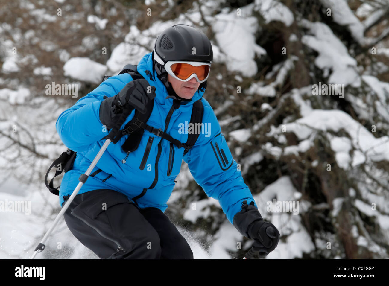Skifahrer ist Freeriding zwischen Bäumen Stockfoto