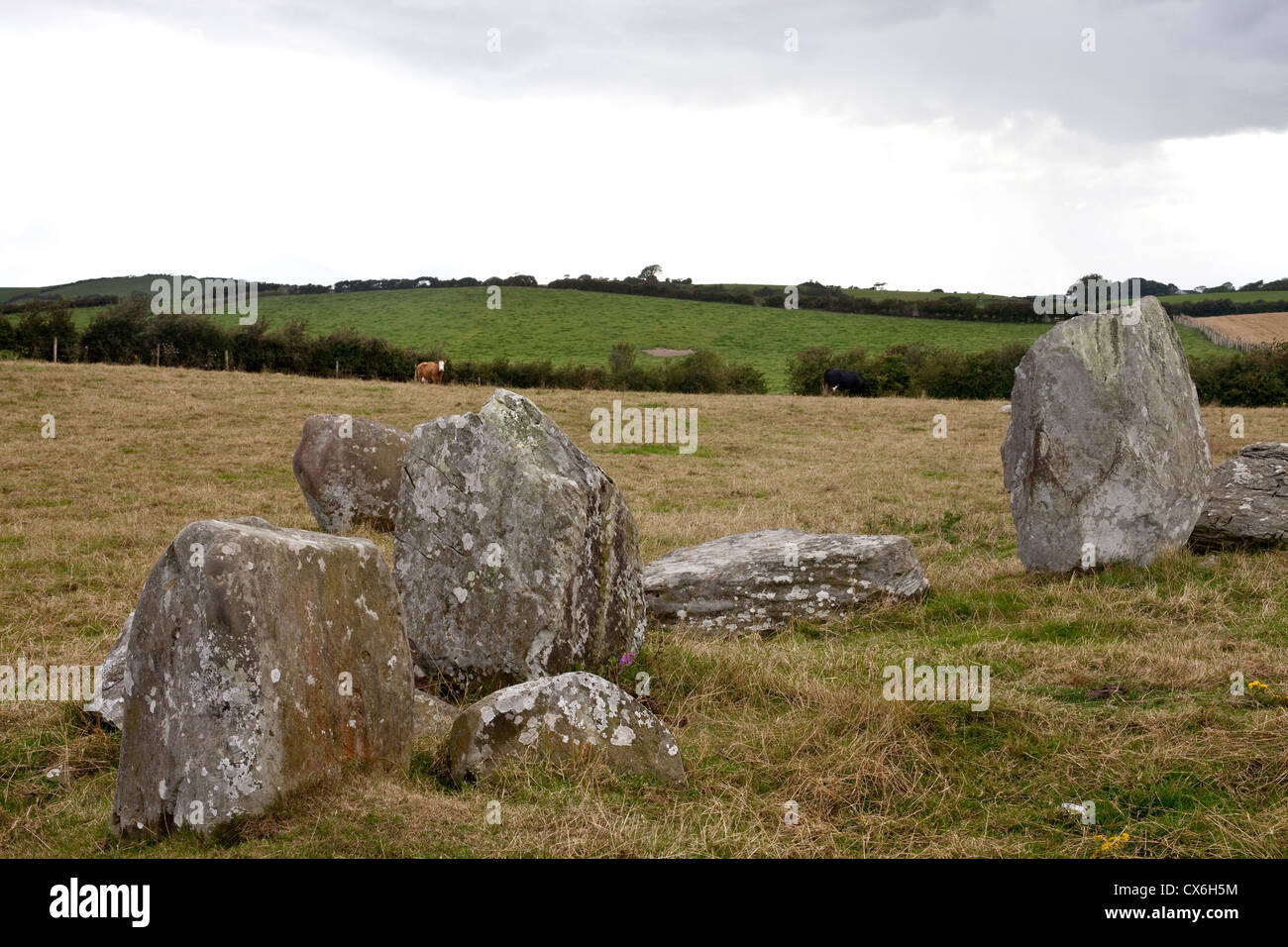 Ballynoe Stone Circle, Lecale Halbinsel, County Down, Nordirland Stockfoto