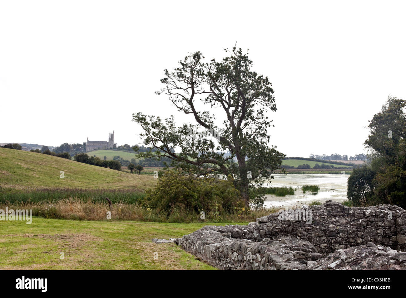 Die Quoile River, County Down, Nordirland Stockfoto