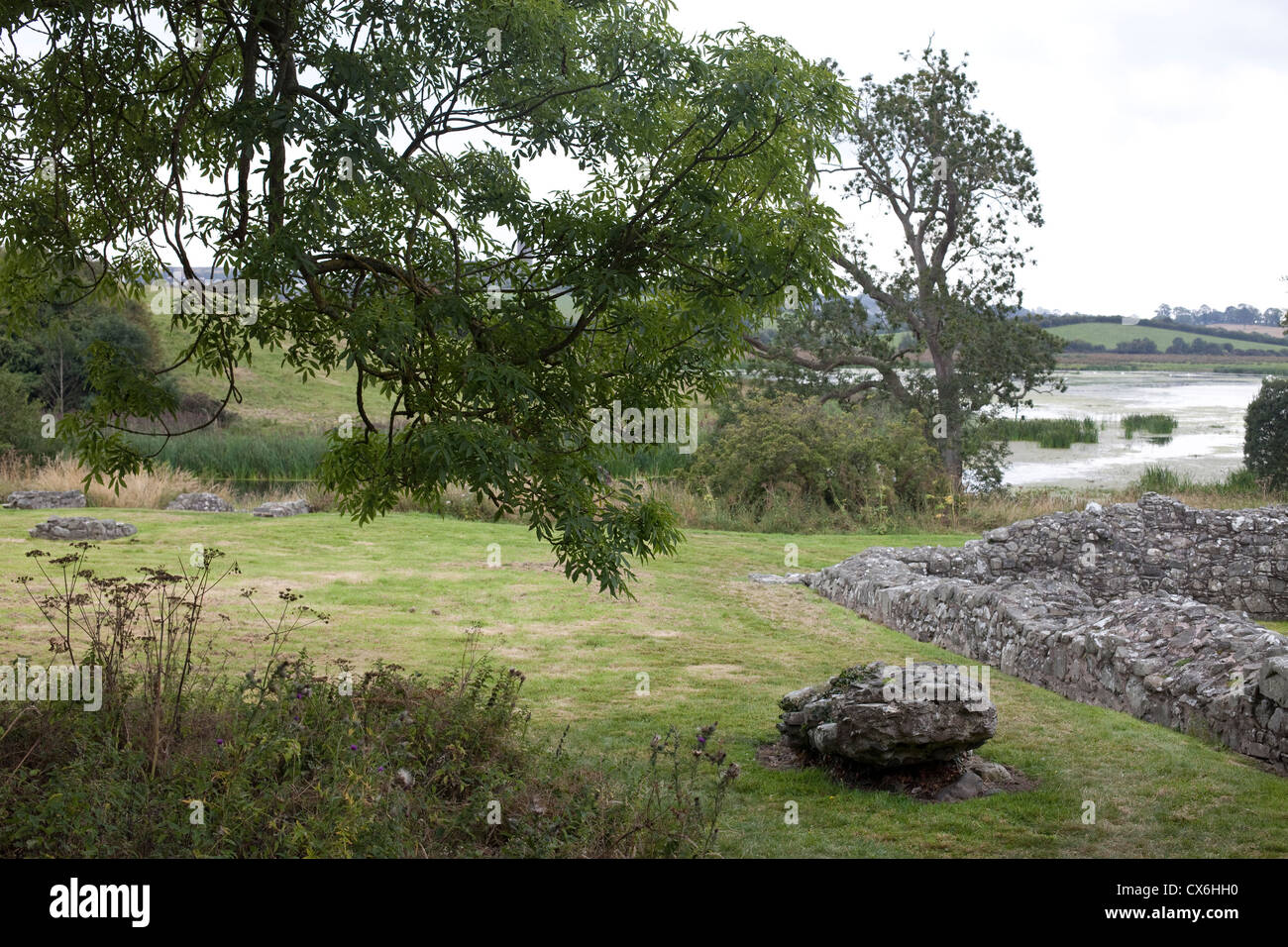 Die Quoile River, County Down, Nordirland Stockfoto