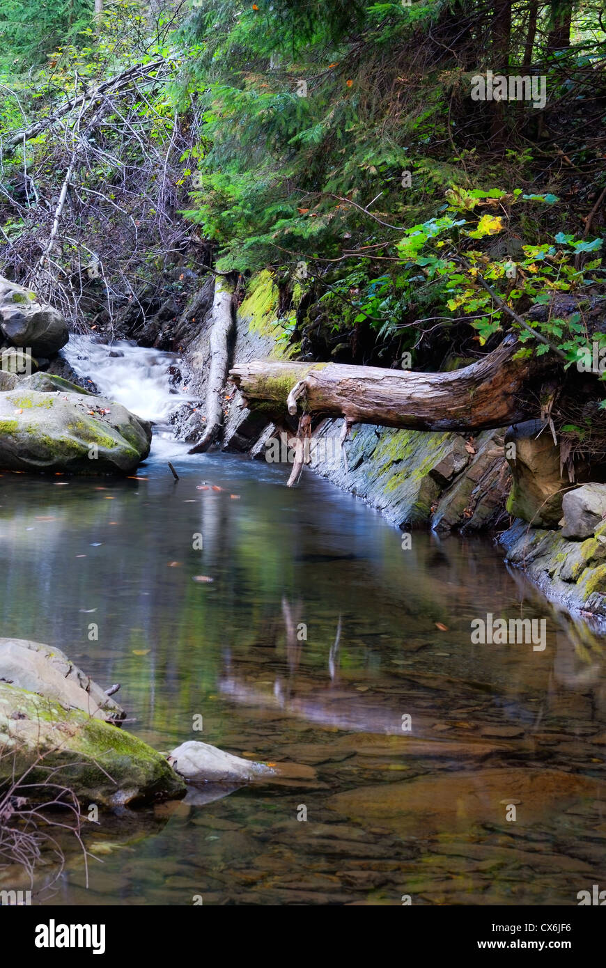 Flussbett mit ruhigem Wasser. Natur Stockfoto