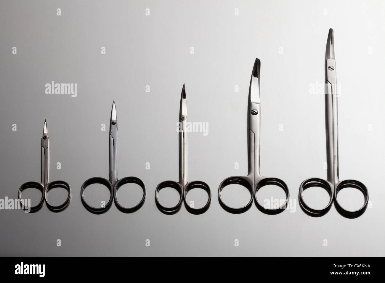 Verschiedene chirurgische Scheren, vom kleinsten bis zum größten angeordnet Stockfoto