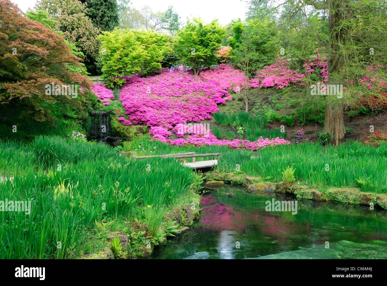 Landschaftsgärten. Aufgenommen in Wakehurst Place, Ardingly, West Sussex, England, UK, Vereinigtes Königreich Stockfoto