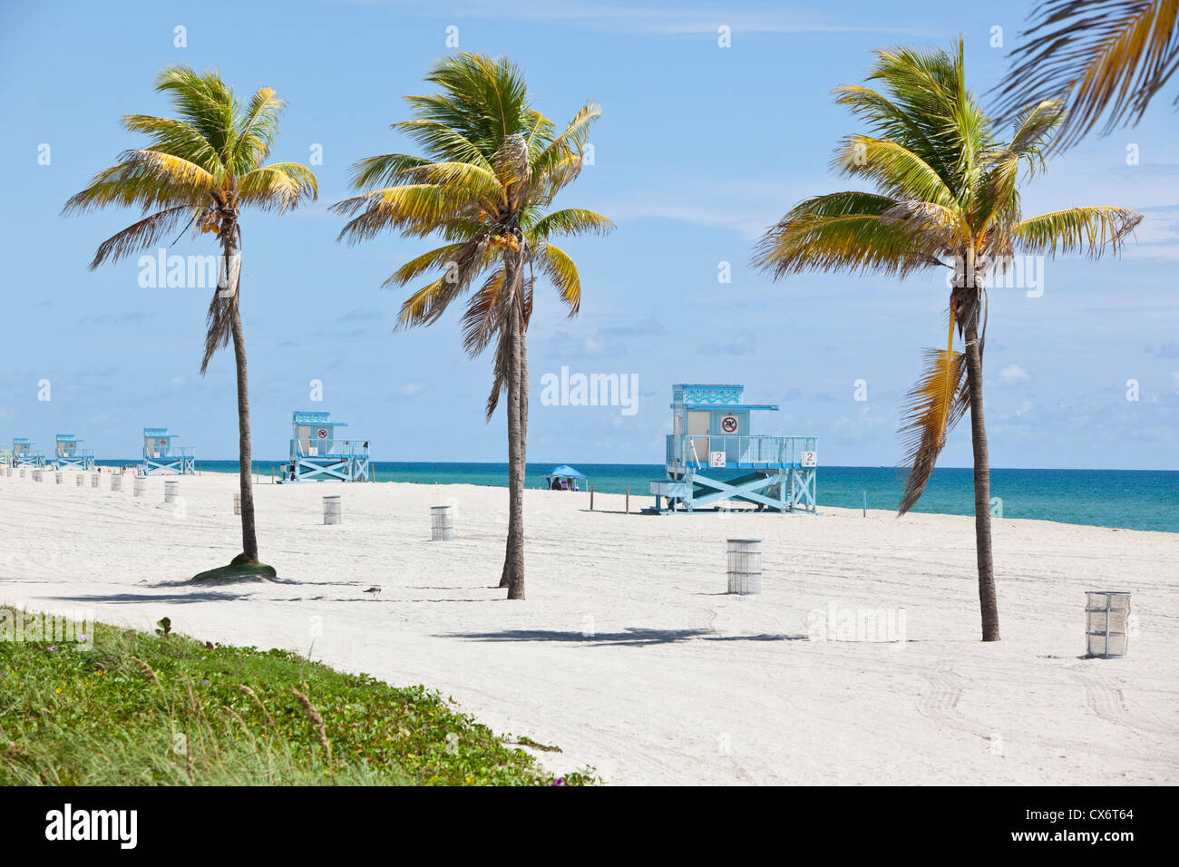 Reihe der Rettungstürme und Palmen auf Haulover Beach, Miami-Dade County, Florida, USA. Stockfoto