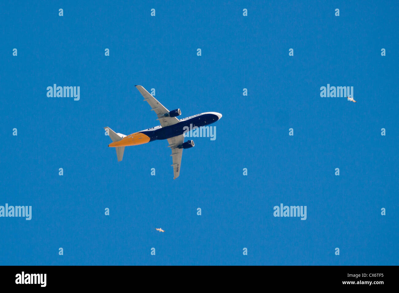 Monarch Airbus A320 landet auf dem Flughafen von Gibraltar. 2. Juli 2012, Gibraltar, Großbritannien. Stockfoto