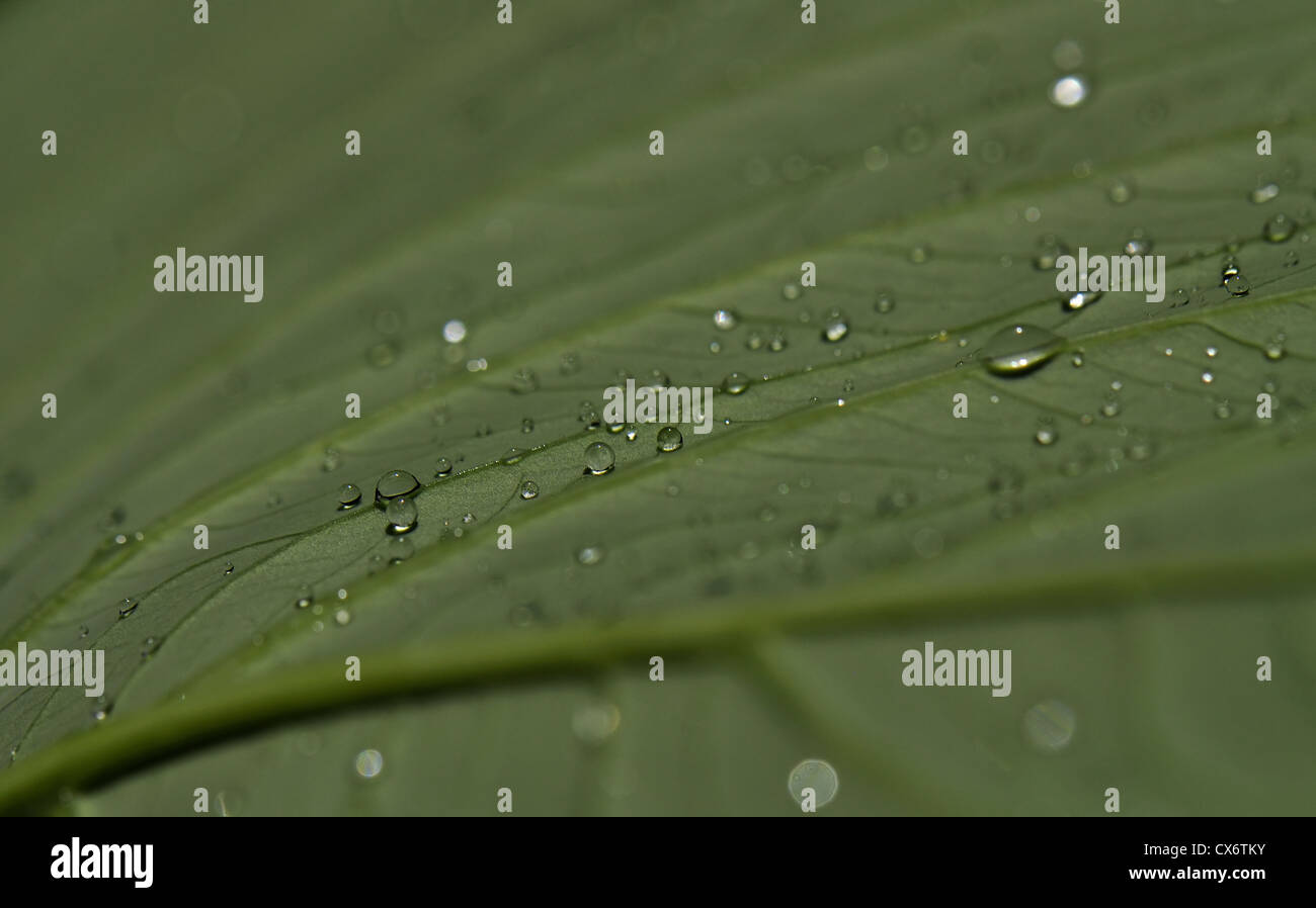 An einem regnerischen Tag Stockfoto