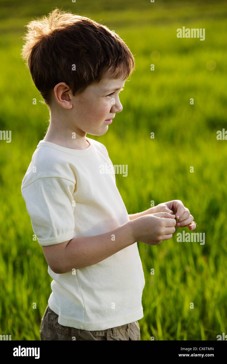 Ein Junge steht in einem Feld Stockfoto