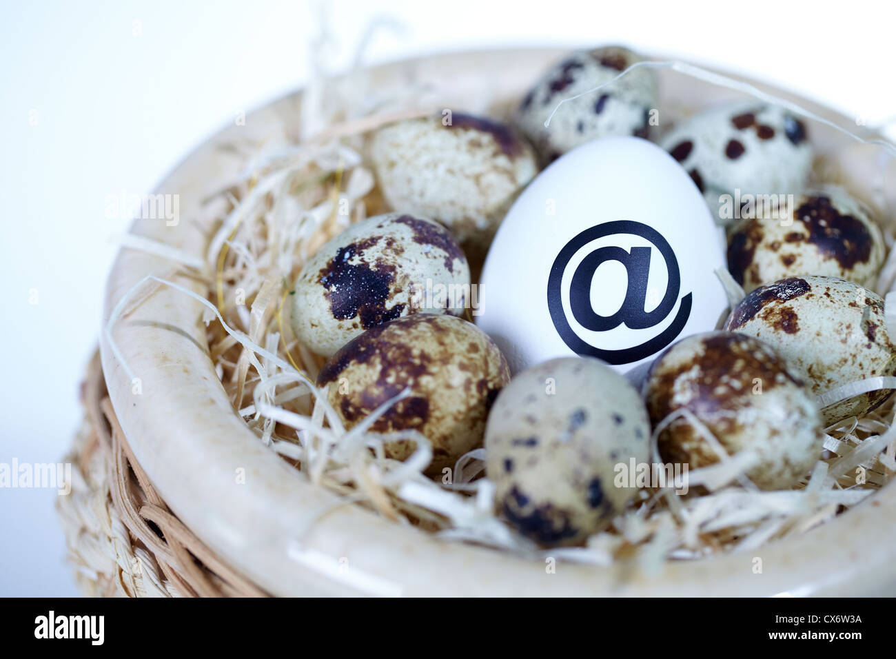Bild der großen Ei mit 'at'-Zeichen und kleinere im nest Stockfoto